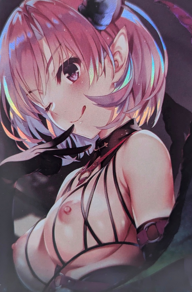 B2P17-9 Holofoil Card - Doujinshi Cover