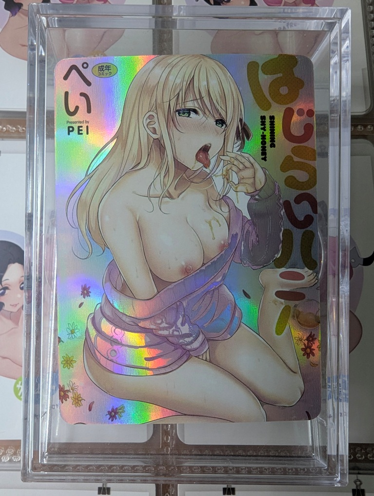 B5P24-2 Holofoil Sexy Card - Doujinshi Cover