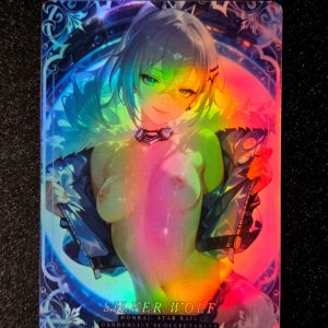 B8P34-6 Honkai Star Rail – Silver Wolf